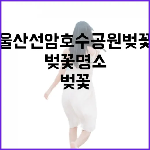울산 선암호수공원 …