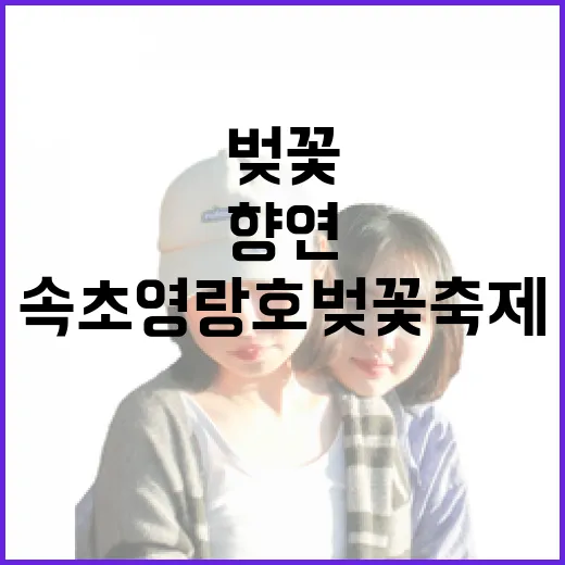 속초 영랑호 벚꽃축제, 봄날의 향연