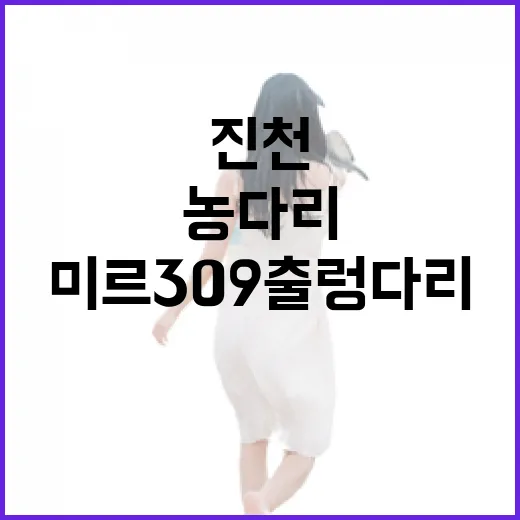 진천 농다리와 미르309 출렁다리 탐방기