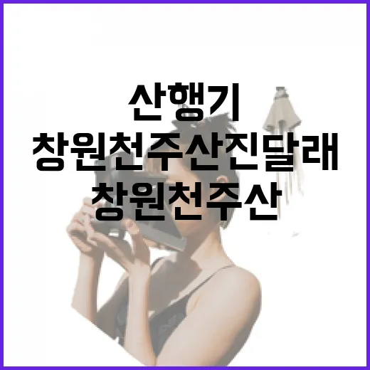 창원 천주산 진달래…