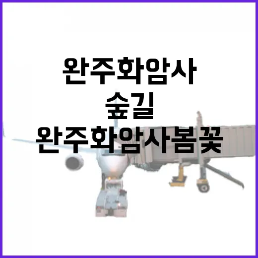 완주 화암사 봄꽃 숲길 산책
