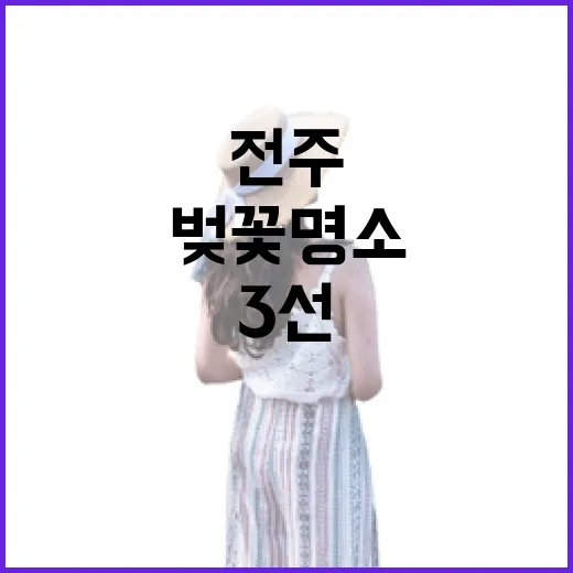 전주 봄 벚꽃 명소 3선