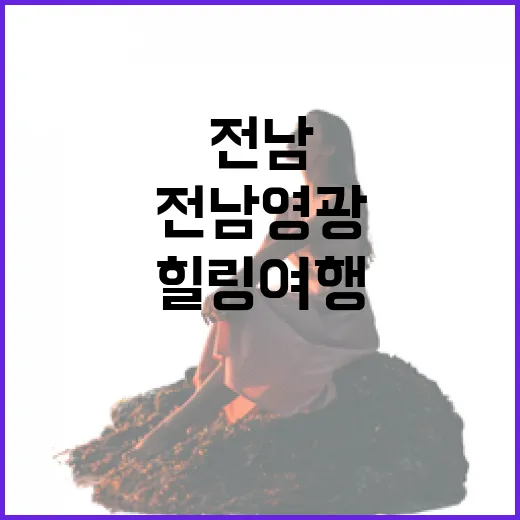 전남 영광에서 찾은…