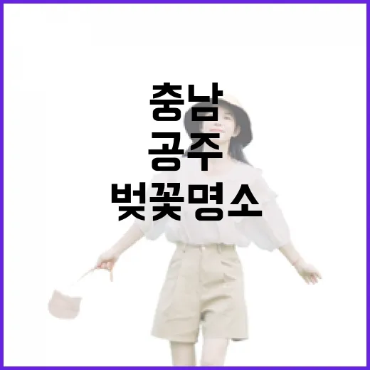 공주 충남역사박물관…