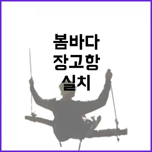 봄바다와 실치의 고…