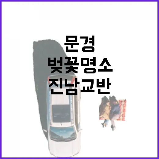 문경 진남교반 벚꽃…