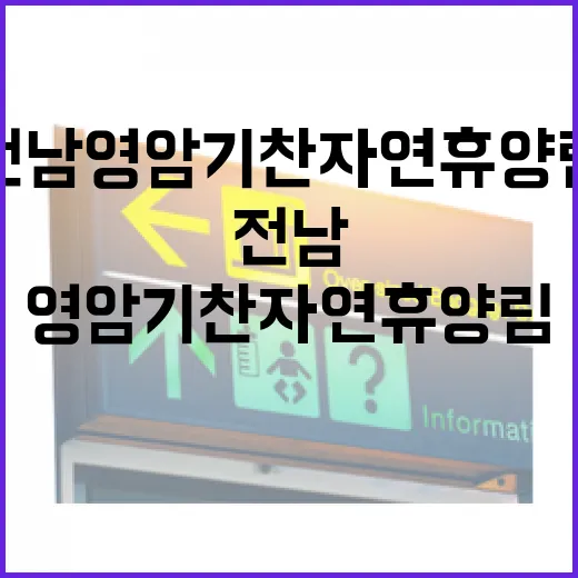 전남 영암 기찬 자…