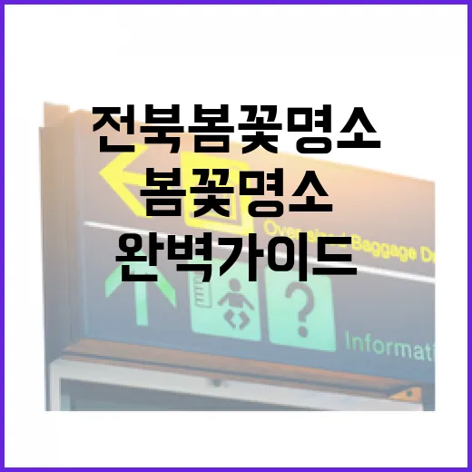 전북 봄꽃 명소 완…