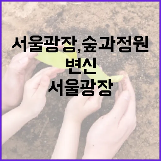 서울광장, 숲과 정…