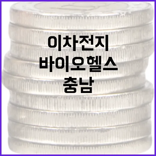 충남, 이차전지·바…