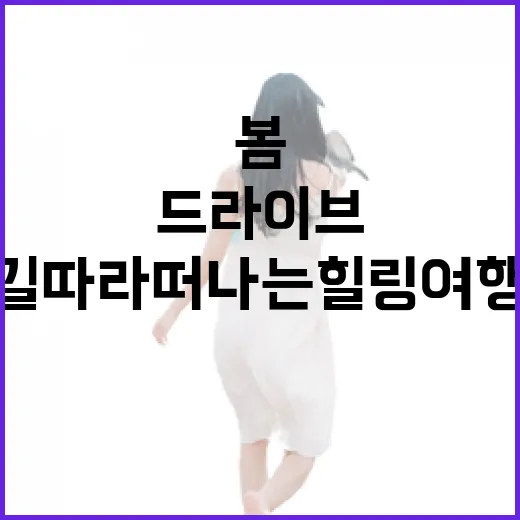전남 드라이브 명소…