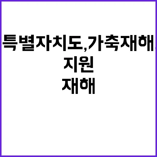 강원특별자치도, 가…