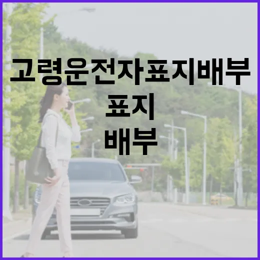 5월부터 고령 운전…