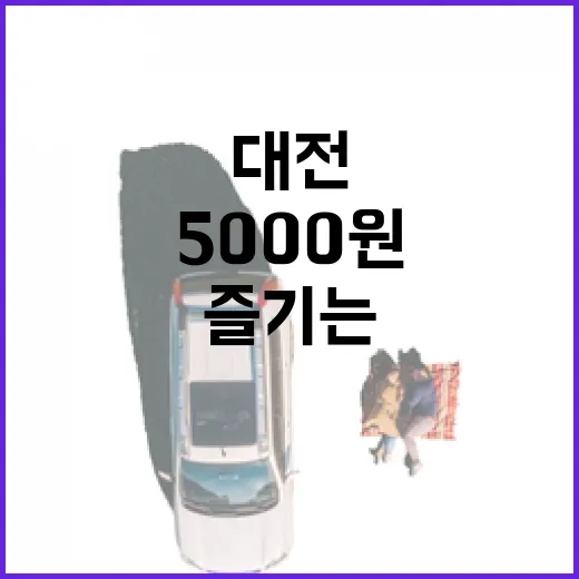 대전 갑천에서 즐기…