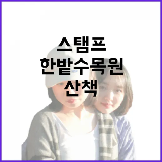 스탬프와 함께하는 …