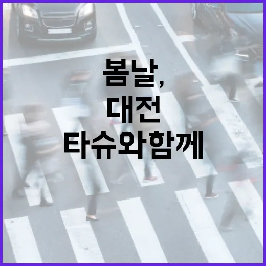 대전 봄날, 타슈와…