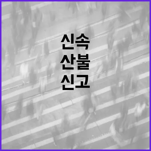 스마트산림재난앱으로 산불 신속 신고와 실시간 확인