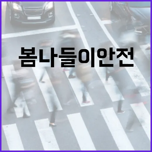 봄나들이 안전 수칙 완벽 정리