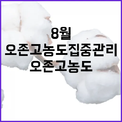 5~8월 오존 고농…