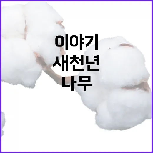 새천년 상징 느티나…