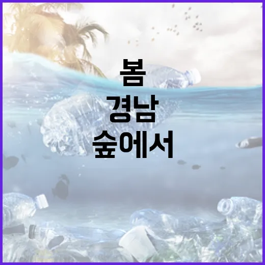 경남 숲에서 만나는…