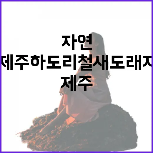 제주 하도리 철새도래지, 자연의 쉼터