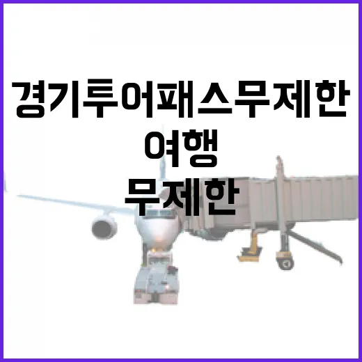 경기투어패스 무제한…