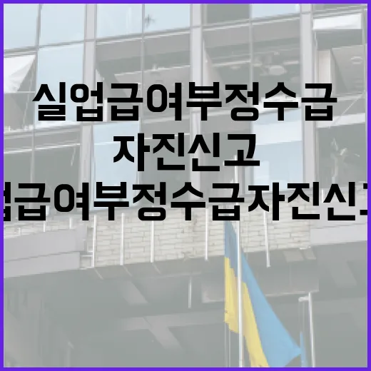 실업급여 부정수급 자진신고 시 추가징수 면제