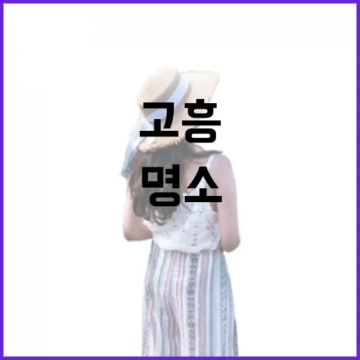 고흥 노산공원 봄꽃…