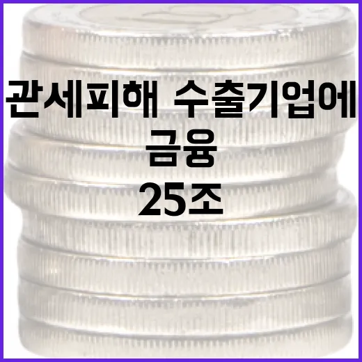 관세피해·수출기업에 25조 금융지원 신속 추진