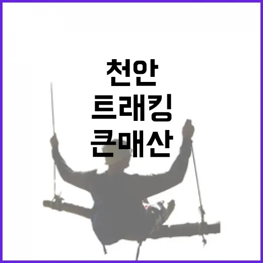 천안 큰매산, 도심 속 힐링 트래킹 명소