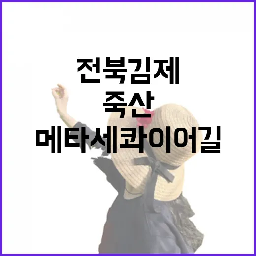 전북 김제 죽산 메…
