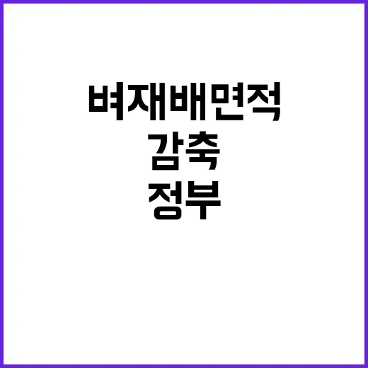 벼 재배면적 감축,…