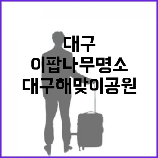대구 해맞이공원 이…