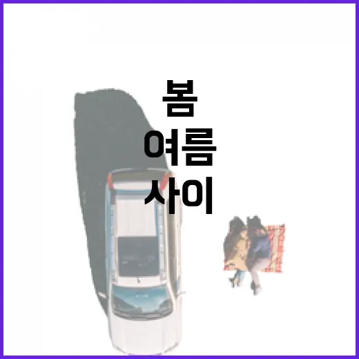 광주 이팝나무 명소, 봄과 여름 사이의 아름다움
