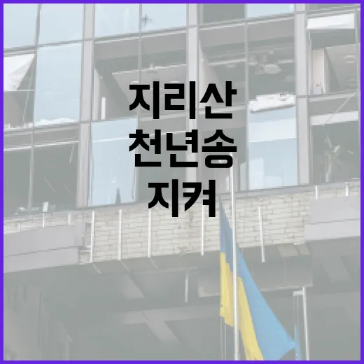 지리산 천년송 화재, 주민 훈련 덕분에 지켜내