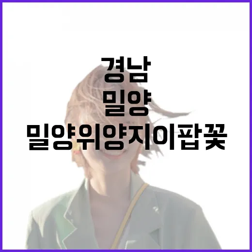 밀양 위양지 이팝꽃, 5월 경남 최고의 데이트 명소