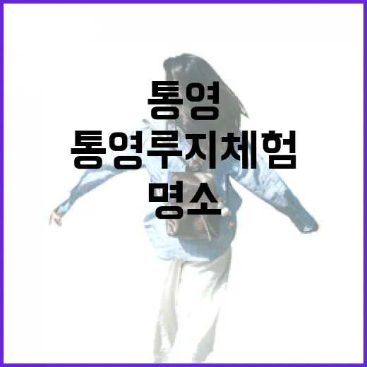 통영 루지 체험, 가족 나들이 명소