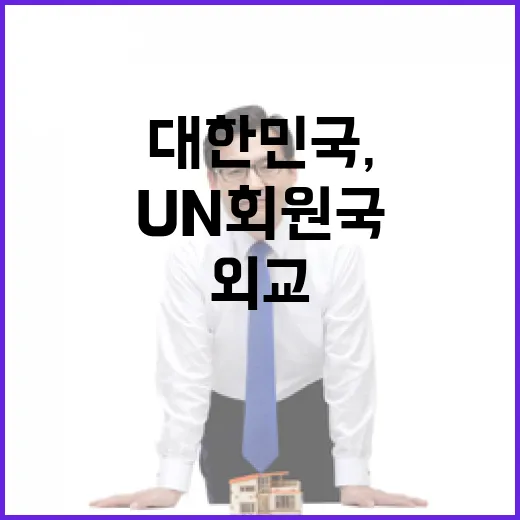 대한민국, UN 회원국과 외교 완성