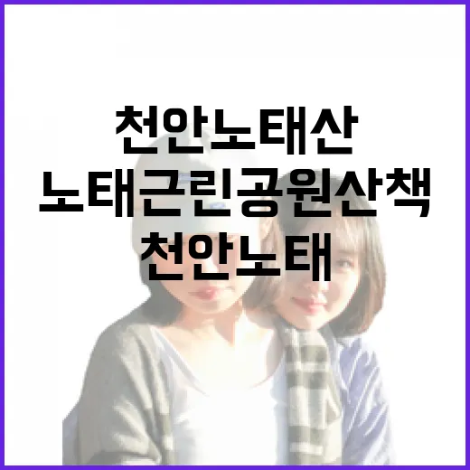 천안 노태산 둘레길과 노태근린공원 산책