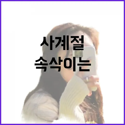 속삭이는 자작나무 숲의 사계절 매력