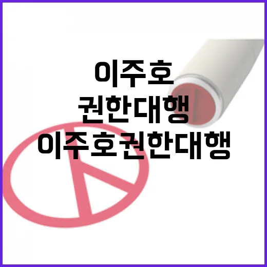 이주호 권한대행, 추경 신속 집행 강조
