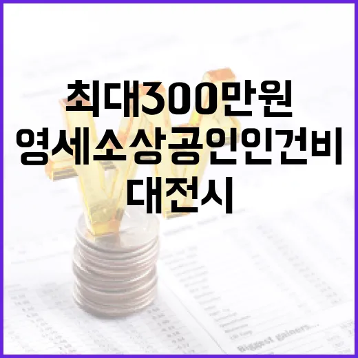 대전시, 영세 소상공인 인건비 최대 300만원 지원