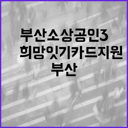 부산 소상공인 3無 희망잇기 카드 지원 이벤트