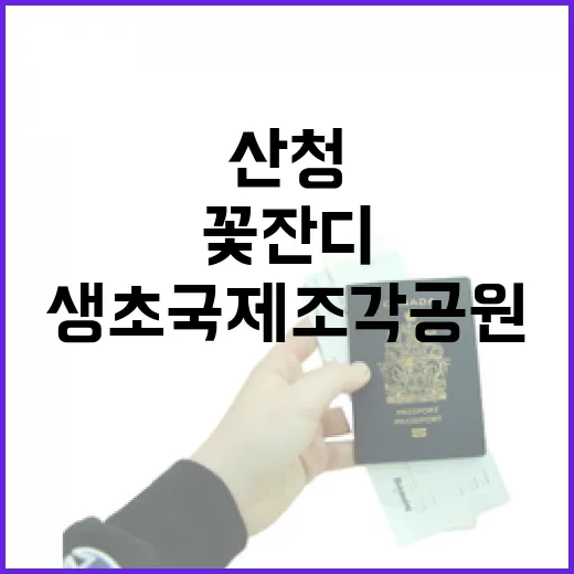 산청 생초국제조각공원 꽃잔디의 생명력