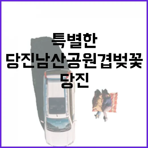 당진 남산공원 겹벚꽃, 늦봄의 특별한 풍경