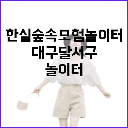 대구 달서구 한실숲속모험놀이터 가족 나들이 명소
