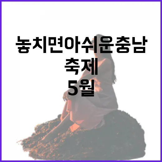 놓치면 아쉬운 충남 5월 축제 총정리