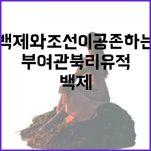 백제와 조선이 공존하는 부여 관북리 유적