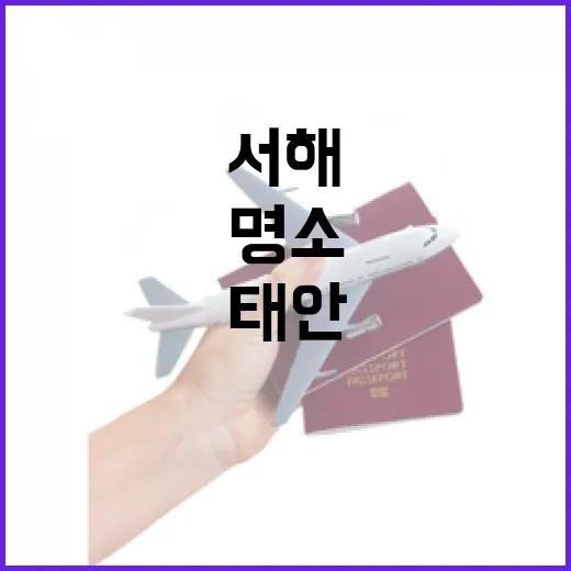 태안 꽃지해안공원, 서해 낙조 명소